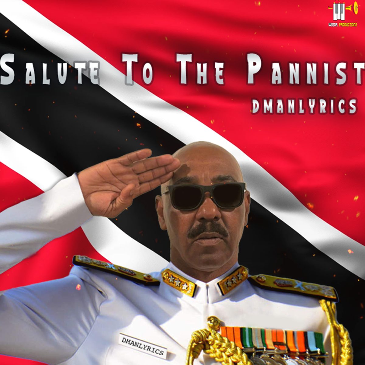 Salute To The Pannist cover art